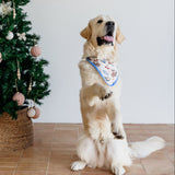 COWBOY CLAUS DOG BANDANA