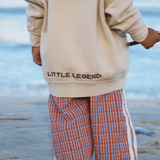 SWELL MINI HOODIE